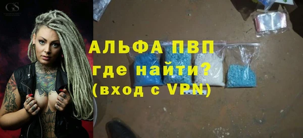 индика Абаза