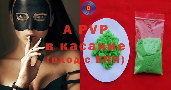 индика Абаза