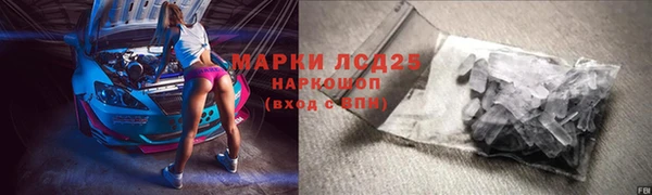 индика Абаза