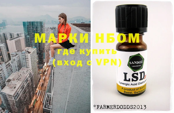 индика Абаза
