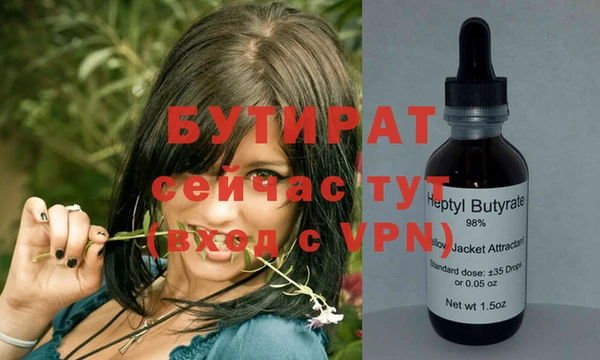 индика Абаза