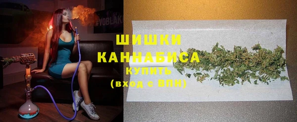 индика Абаза