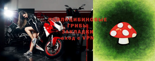 индика Абаза